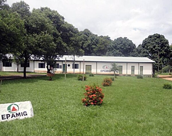 Criminosos invadem sede da Epamig em Leopoldina e furtam dois veículos