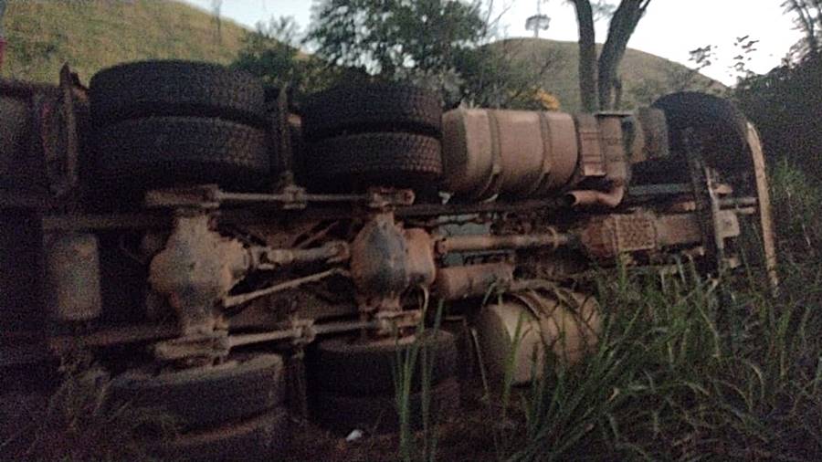 Carreta carregada com 106 bezerros tomba na BR-116 próximo a Leopoldina
