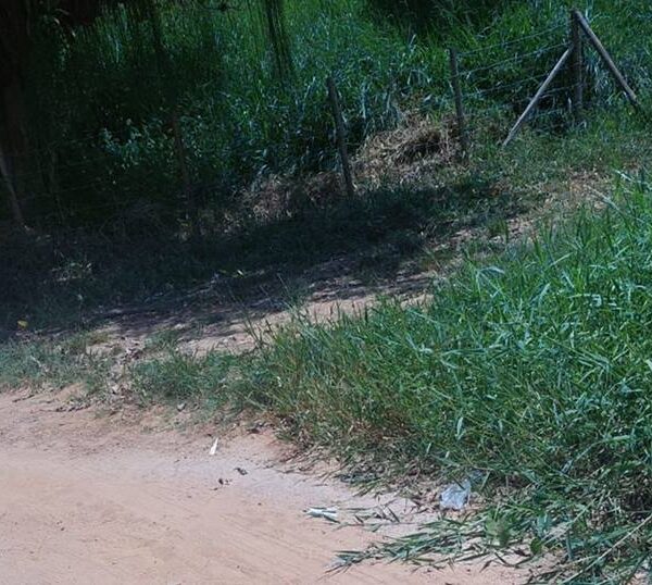 Corpo de homem é encontrado com marca de tiro próximo à Vista Alegre