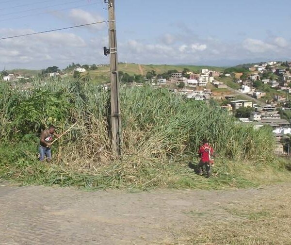 Moradores fazem mutirão de limpeza em avenida do Bairro Imperador em Leopoldina