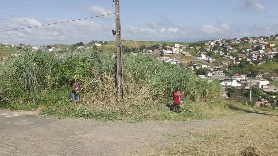 Moradores fazem mutirão de limpeza em avenida do Bairro Imperador em Leopoldina