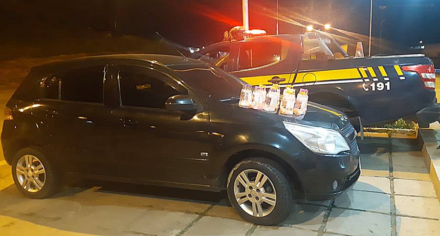 Homem com frascos de lança-perfume é detido durante fiscalização da PRF em Leopoldina