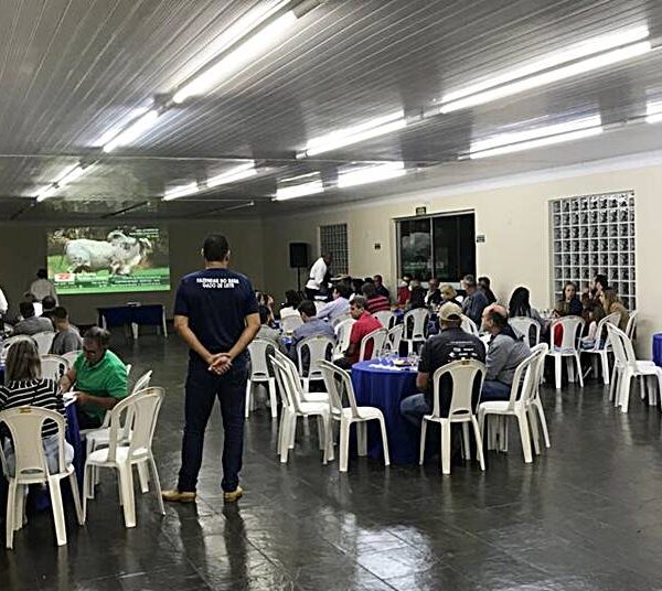 Fazendas do BASA realiza Leilão de Reprodutores Gir Leiteiro com transmissão via canal Terra Viva