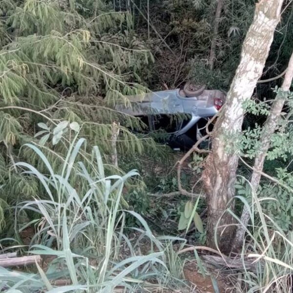 Ocupantes de carro sobrevivem após veículo capotar e bater em árvores em Leopoldina