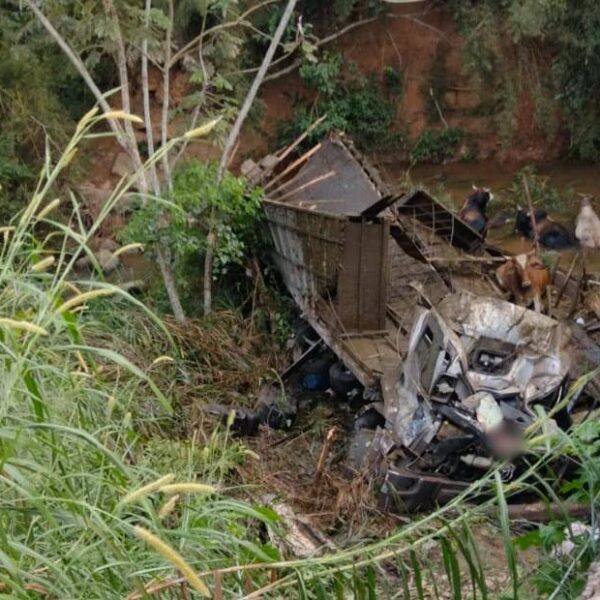 Caminhoneiro morre após veículo tombar e cair de ponte na BR-267 em Argirita