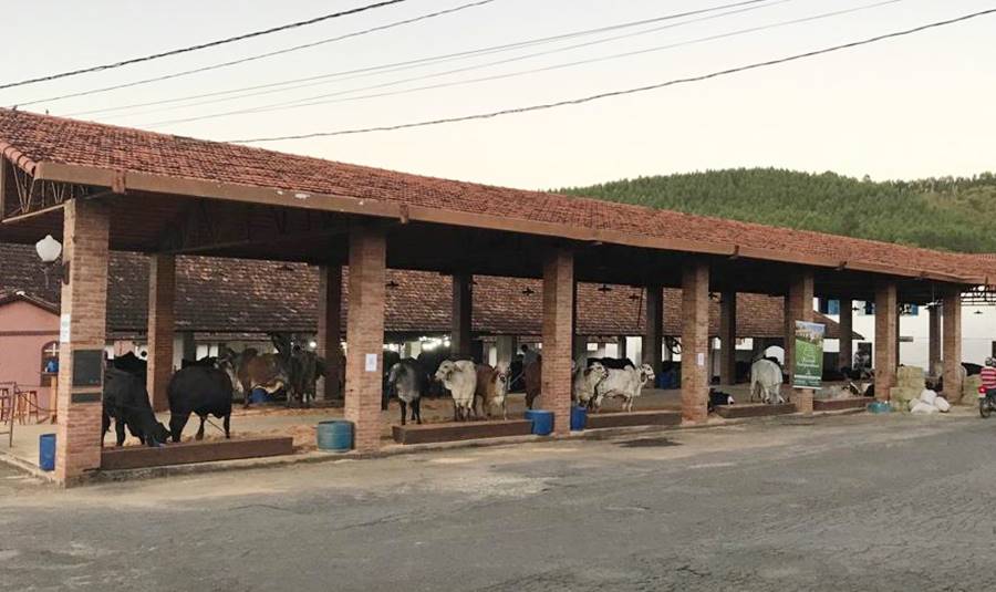 Coopleste promove ‘Leilão da Amizade’ dia 27 de maio em Leopoldina