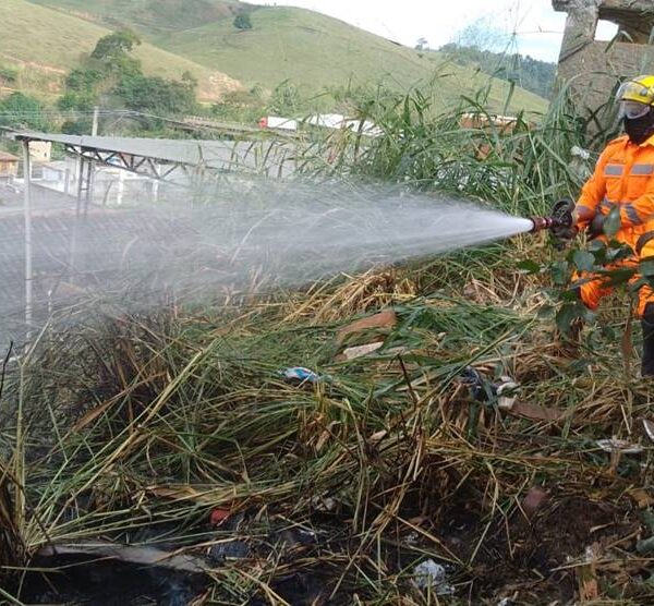 Incêndio em vegetação se aproxima de casas e mobiliza Corpo de Bombeiros em Leopoldina