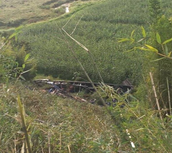 Carreta cai em ribanceira na BR-116 próximo à Serra da Vileta em Leopoldina
