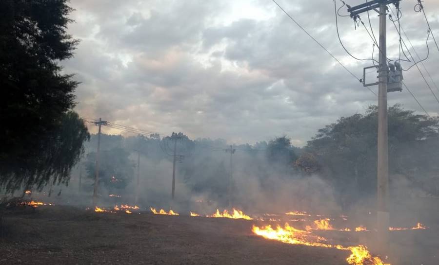Estiagem chama atenção para risco de queimadas perto da rede elétrica