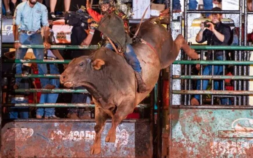 Em nova decisão, Justiça volta a permitir rodeios em Minas