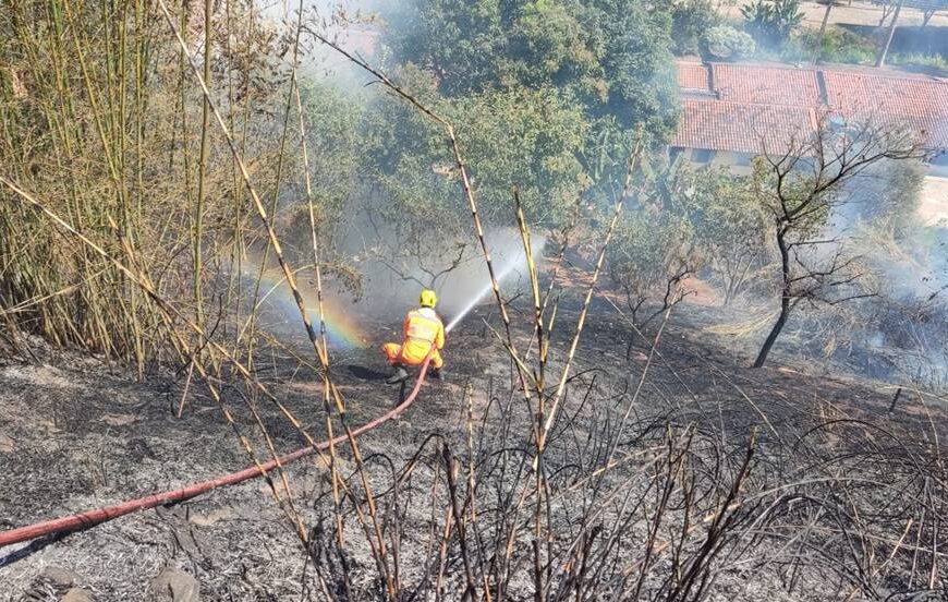 Fogo consome vegetação e fere animais próximo ao Vale do Sol em Leopoldina
