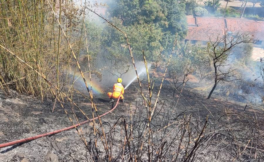 Fogo consome vegetação e fere animais próximo ao Vale do Sol em Leopoldina