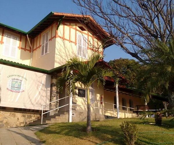 Pedido de abertura de CPI é protocolado na Câmara Municipal para investigar gastos com palmeiras em Leopoldina