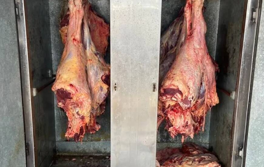Polícia apreende 250 kg de carne bovina impróprias para o consumo em São João Nepomuceno