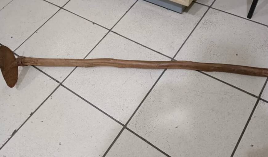 Idoso mata cachorro do filho com golpes de enxada em São João Nepomuceno