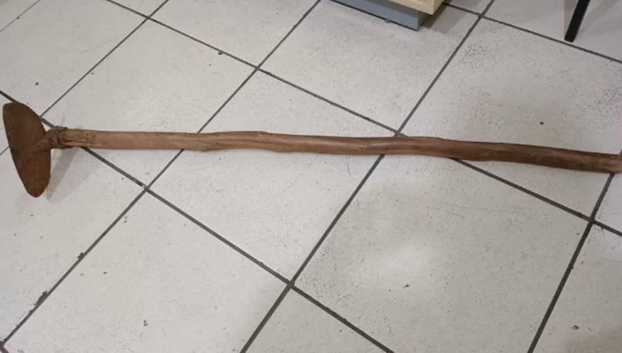 Idoso mata cachorro do filho com golpes de enxada em São João Nepomuceno