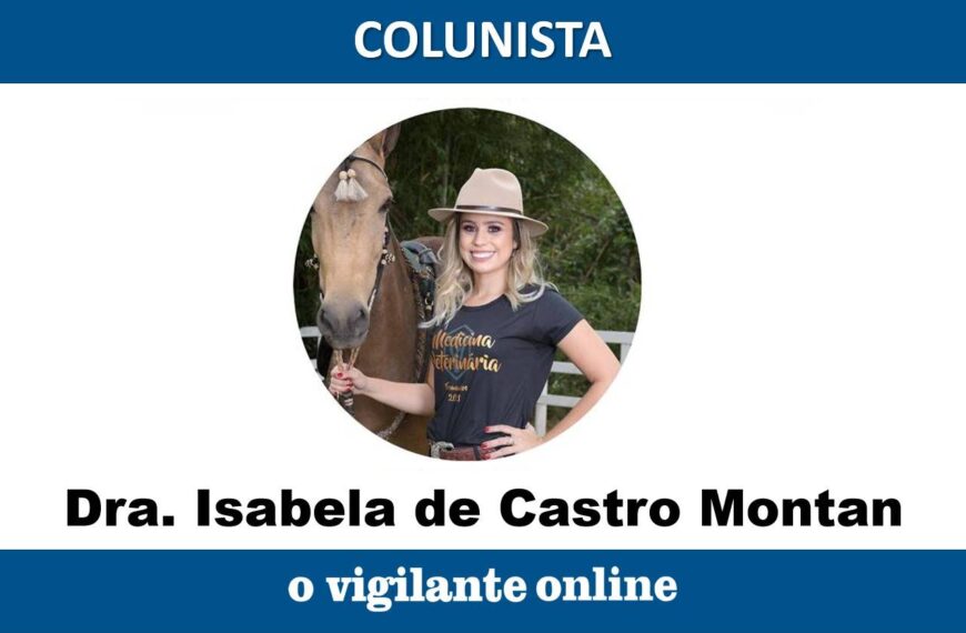 Principais cuidados com bezerro recém nascido | Por Dra. Isabela de Castro Montan