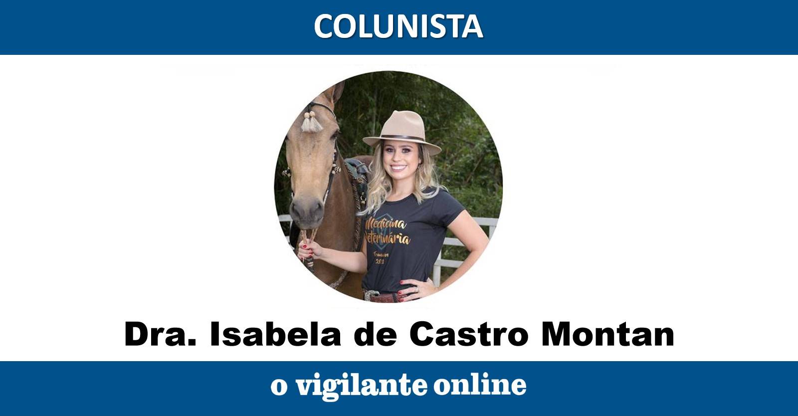 Principais cuidados com bezerro recém nascido | Por Dra. Isabela de Castro Montan