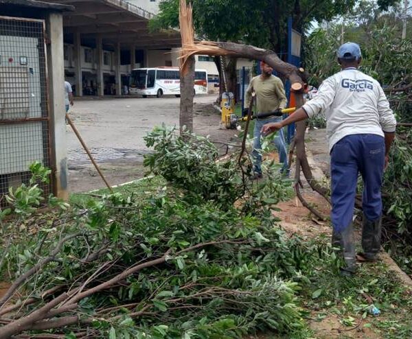 Defesa Civil de Leopoldina envia equipe para auxiliar na desobstrução de estradas e ruas de Muriaé