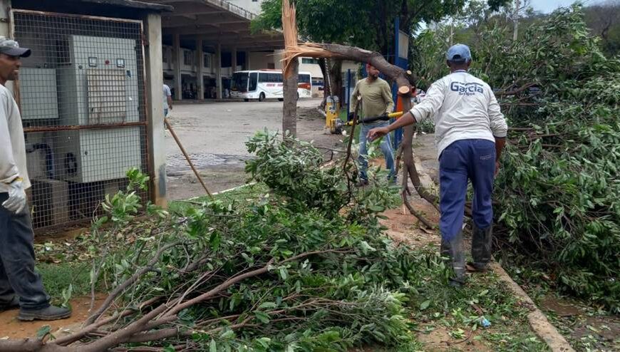 Defesa Civil de Leopoldina envia equipe para auxiliar na desobstrução de estradas e ruas de Muriaé