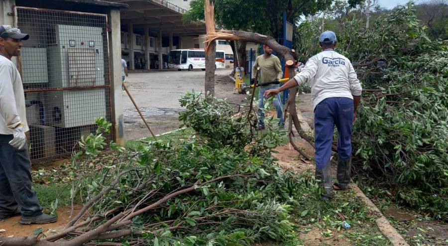 Defesa Civil de Leopoldina envia equipe para auxiliar na desobstrução de estradas e ruas de Muriaé