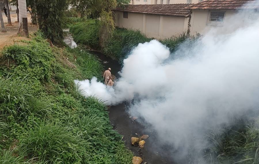 Leopoldina realiza ações para eliminar focos de mosquito da dengue