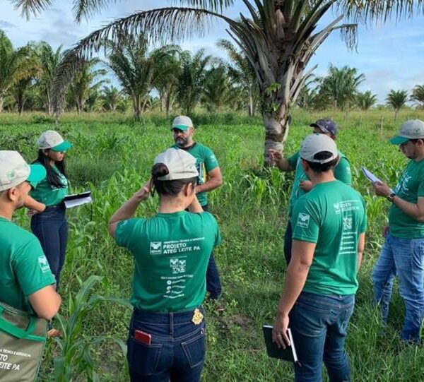 Argirita, Recreio e Pirapetinga terão cursos de formação profissional rural do Sistema Faemg Senar em agosto
