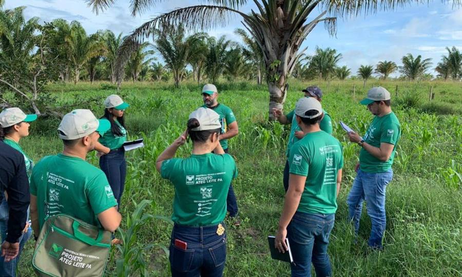 Argirita, Recreio e Pirapetinga terão cursos de formação profissional rural do Sistema Faemg Senar em agosto