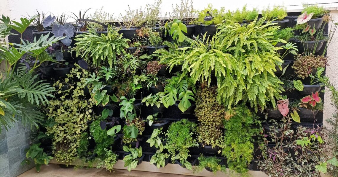 Empresa ‘Hera Paisagismo & Jardinagem’ é destaque em Leopoldina e região