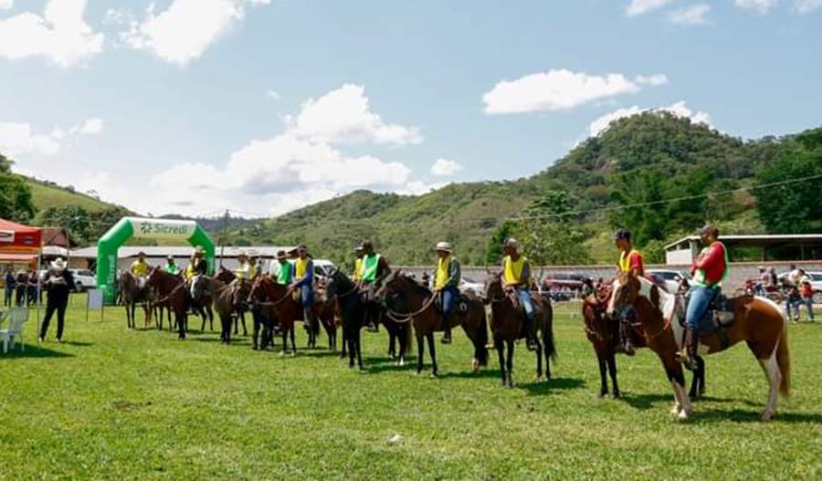 Festa do Cavalo passa a integrar calendário anual de eventos de Argirita