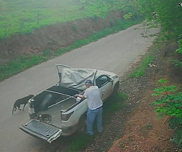 VÍDEO: Câmera flagra motorista abandonando cachorros em Visconde do Rio Branco