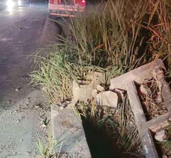 Caminhão bate em barranco e motorista cai de viaduto próximo a Volta Grande