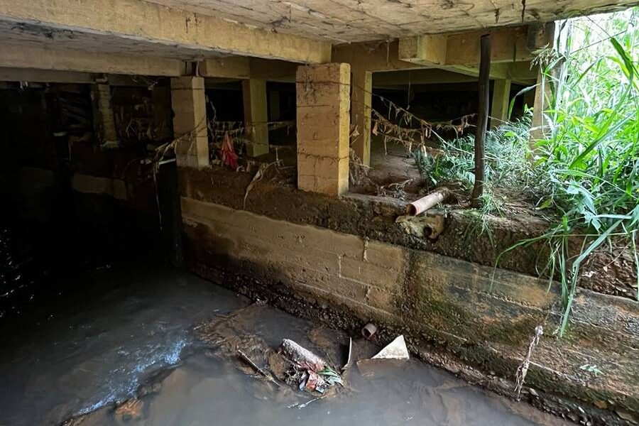 Bombeiros resgatam dois gatinhos que ficaram presos dentro de tubulação em Cataguases