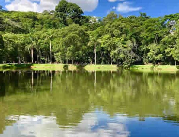 Adolescente de 15 anos morre após se afogar na Lagoa da Gávea em Muriaé