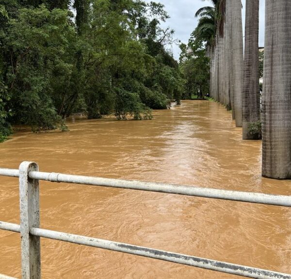 Nível do Rio Pomba segue baixando em Cataguases