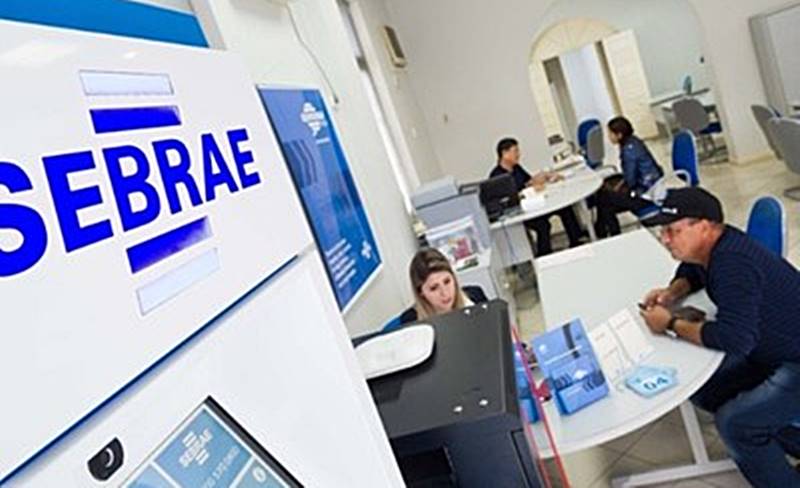 Sebrae Minas abre inscrições para programa de estágio 2023