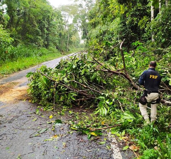 PRF de Leopoldina alerta para pontos de acúmulo de água e buracos na BR-267