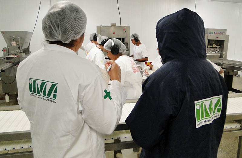 Instituto Mineiro de Agropecuária lança edital para concurso público com 132 vagas