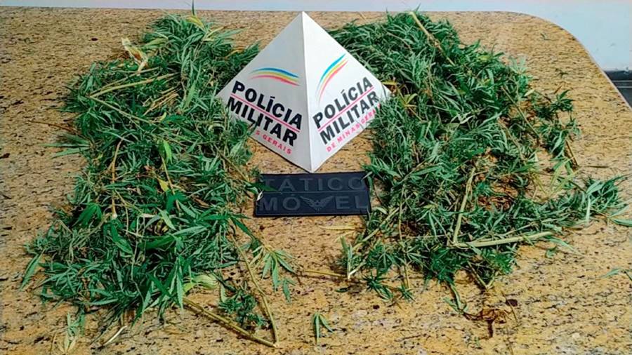 Denúncia de lesão corporal termina com apreensão de folhas de maconha pela PM em Leopoldina