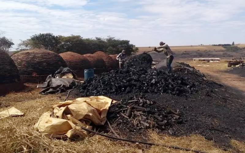 Trabalhadores são resgatados em situação análoga à escravidão em carvoaria em Carandaí