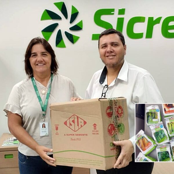 Sicredi em Argirita doa sementes de hortaliças para agricultura familiar no município