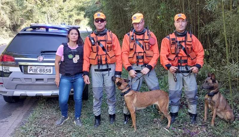 Cadelas que estiveram em Brumadinho ajudam nas buscas por leopoldinense que desapareceu em JF