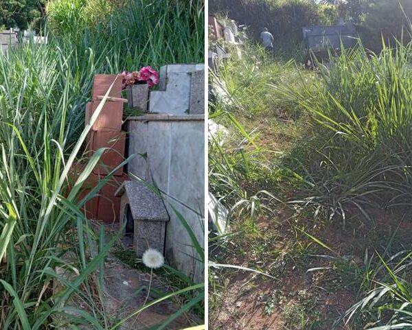 Leitora reclama de mato alto e abandono em cemitério de Leopoldina