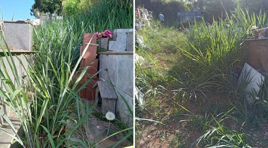 Leitora reclama de mato alto e abandono em cemitério de Leopoldina
