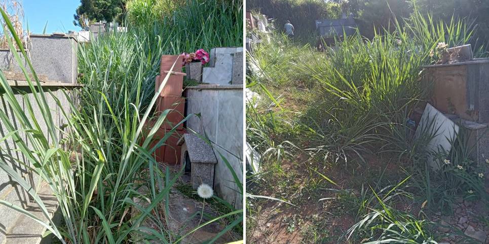 Leitora reclama de mato alto e abandono em cemitério de Leopoldina