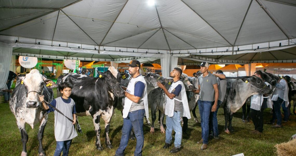Exposição Interestadual de GIROLANDO e 1ª Exposição Ranqueada do GIR LEITEIRO de Leopoldina são destaques nacionais