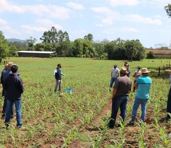 Fórum de Turismo Rural será realizado nesta terça (11) em Leopoldina