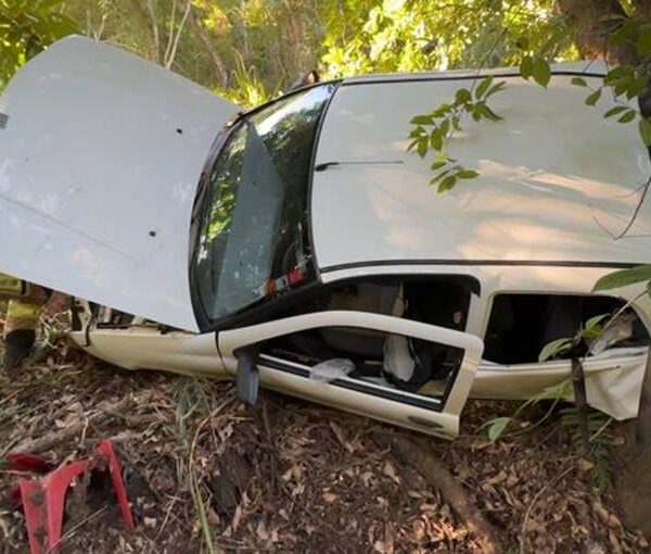 Carro capota e bate em árvore na BR-267 próximo a Tebas