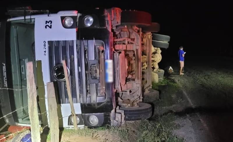Caminhão que transportava mais de 4.500 frangos vivos tomba na MG-285 em Piraúba