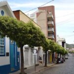 Leopoldina participa da 10ª Noite Mineira de Museus e Bibliotecas com estreia do projeto ‘Entrevista Cultural’